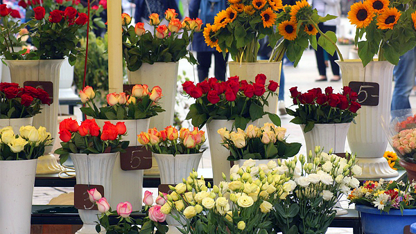 flower shop st petersburg